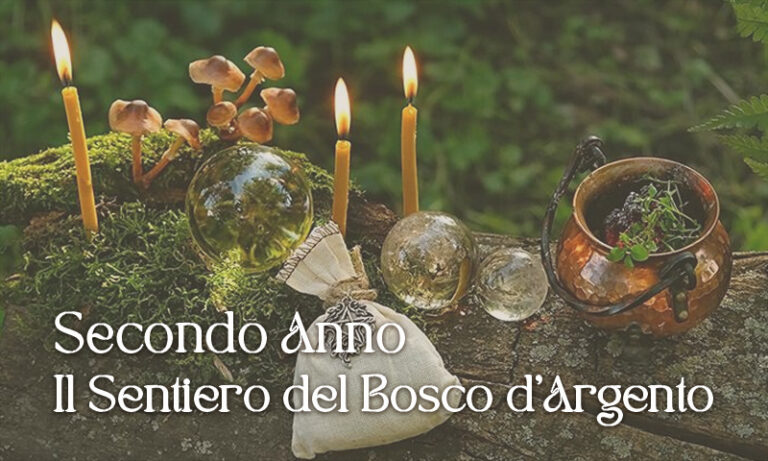 Il Sentiero del Bosco d’Argento – Secondo Anno